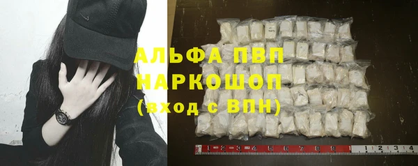 стаф Инта
