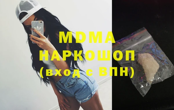 стаф Инта