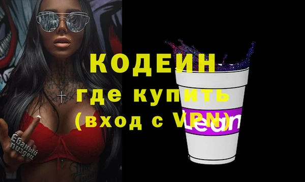 стаф Инта