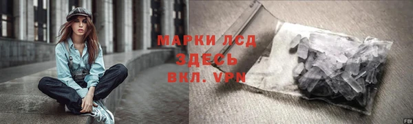 мдпв Инсар