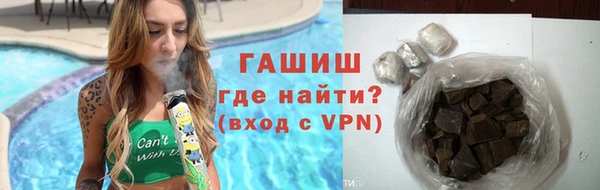 мдпв Инсар