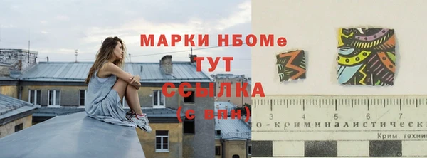 стафф Иннополис