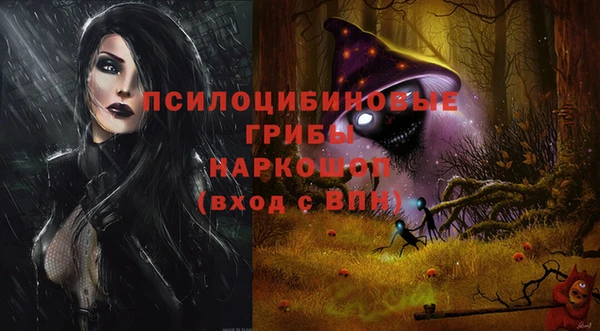 стаф Инта