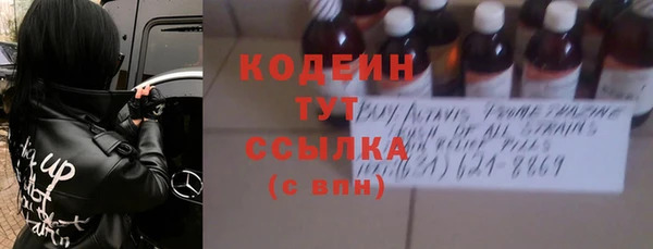 мдпв Инсар
