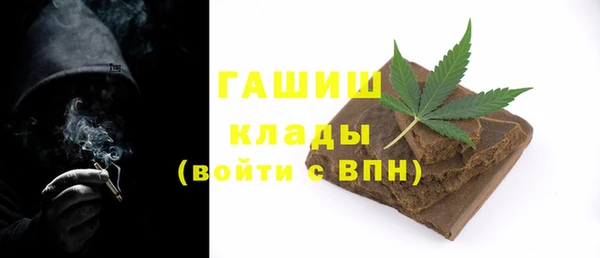 мдпв Инсар