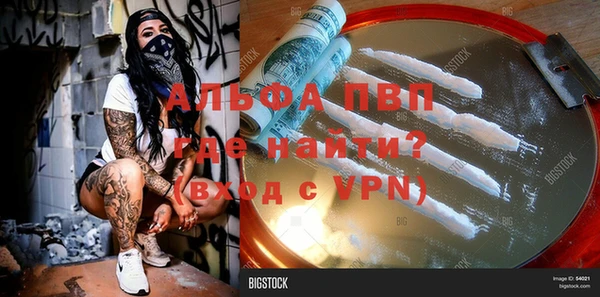 мдпв Инсар