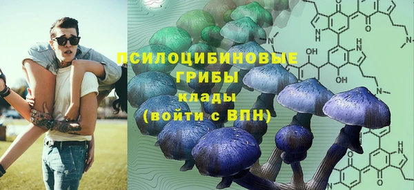 стаф Инта