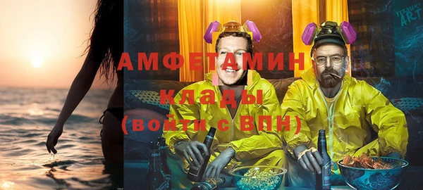 мдпв Инсар
