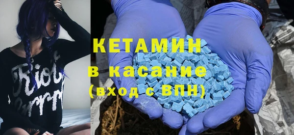 стаф Инта