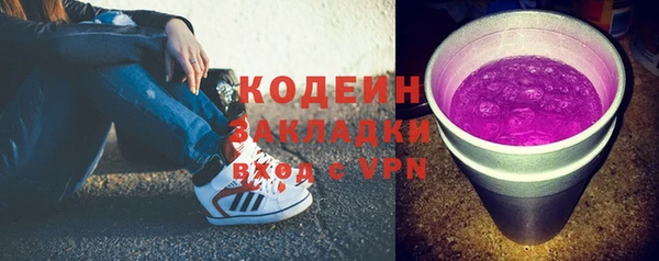 мдпв Инсар