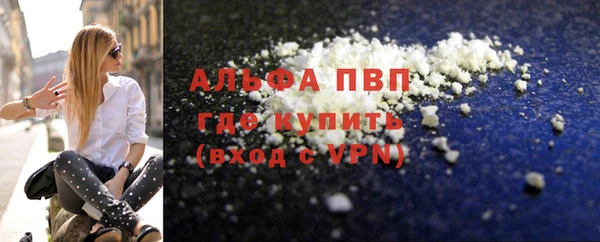 стаф Инта