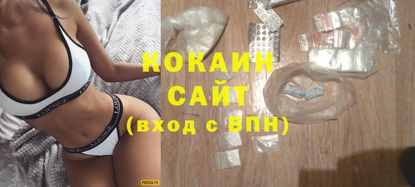 стаф Инта
