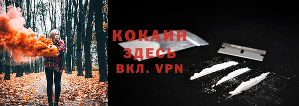стаф Инта