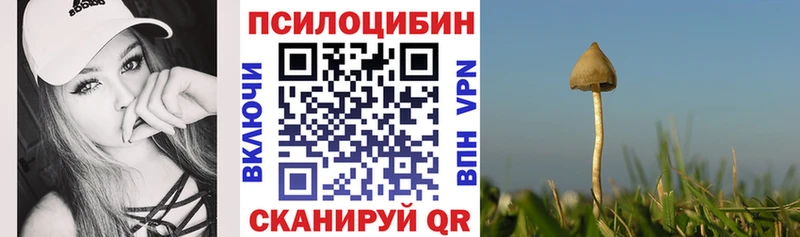Псилоцибиновые грибы Magic Shrooms  Купить где  Поворино 